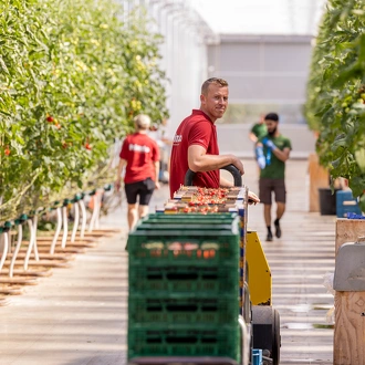 Arbeidsverantwoordelijke bij Primato